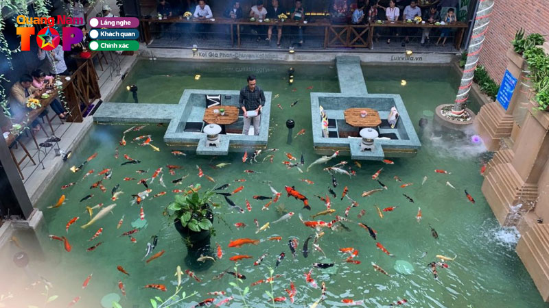 top-5-quan-ca-phe-ca-koi-tam-ky-quang-nam-view-dep-cuc-chill-quangnamtoplist