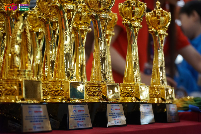 Doi-net-ve-giai-co-vua-cup-so-huu-tri-tue02-quangnamtoplist