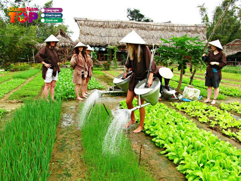 Duoc-trai-nghiem-mot-ngay-lam-nong-dan-quangnamtoplist