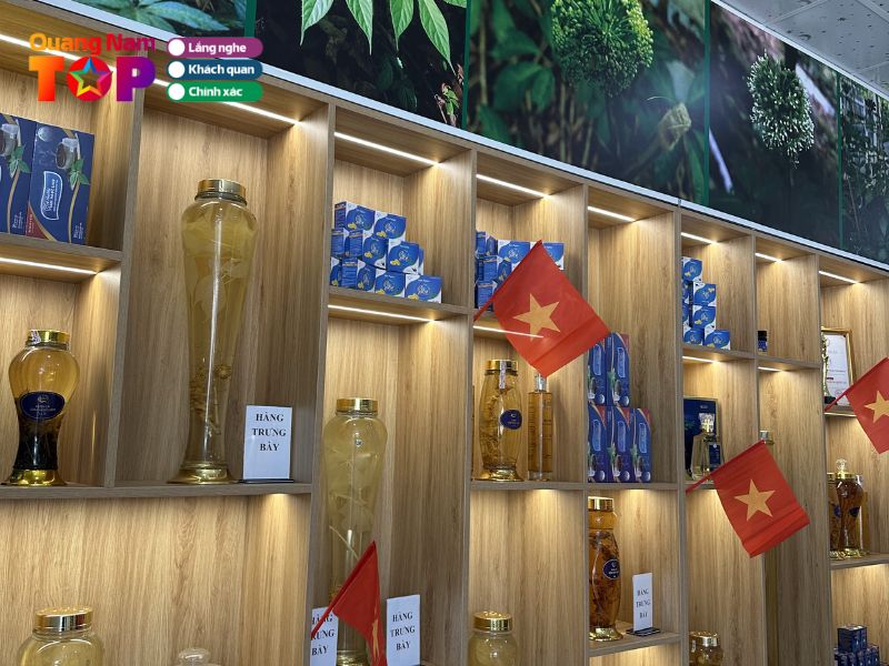 Bao-ly-quangnamtoplist