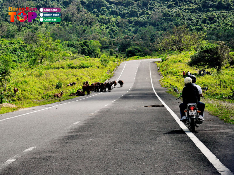 Di-bang-xe-may-quangnamtoplist