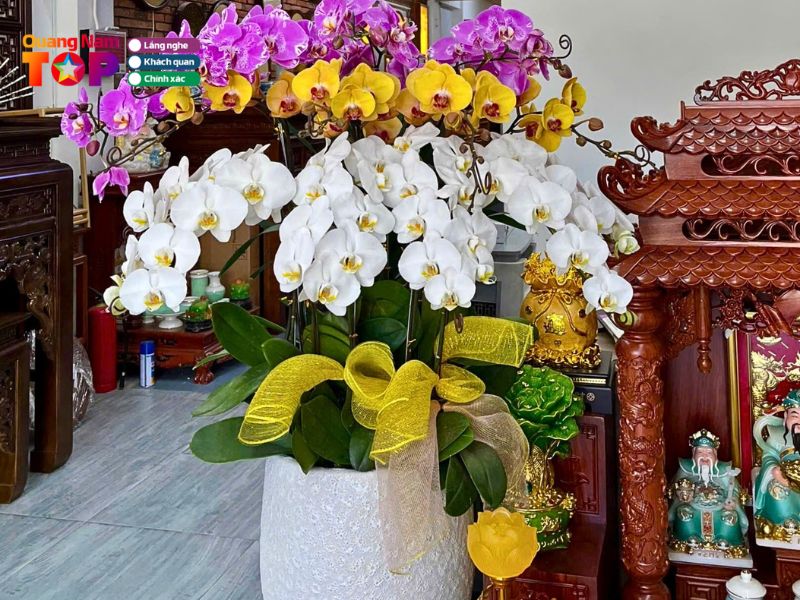 nhat-tam-quangnamtoplist