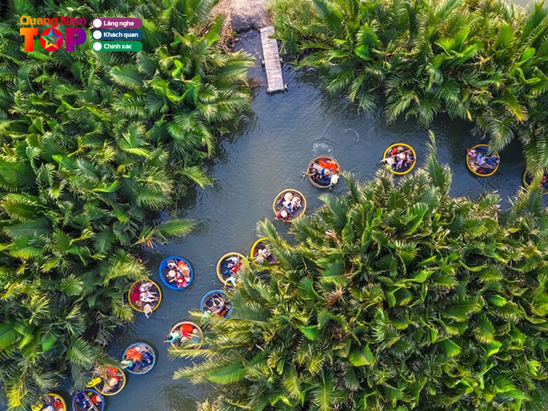 Rung-dua-bay-mau-quangnamtoplist