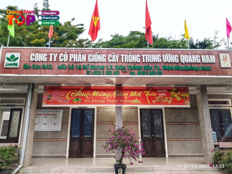 vinaseed-quangnam-quangnamtoplist