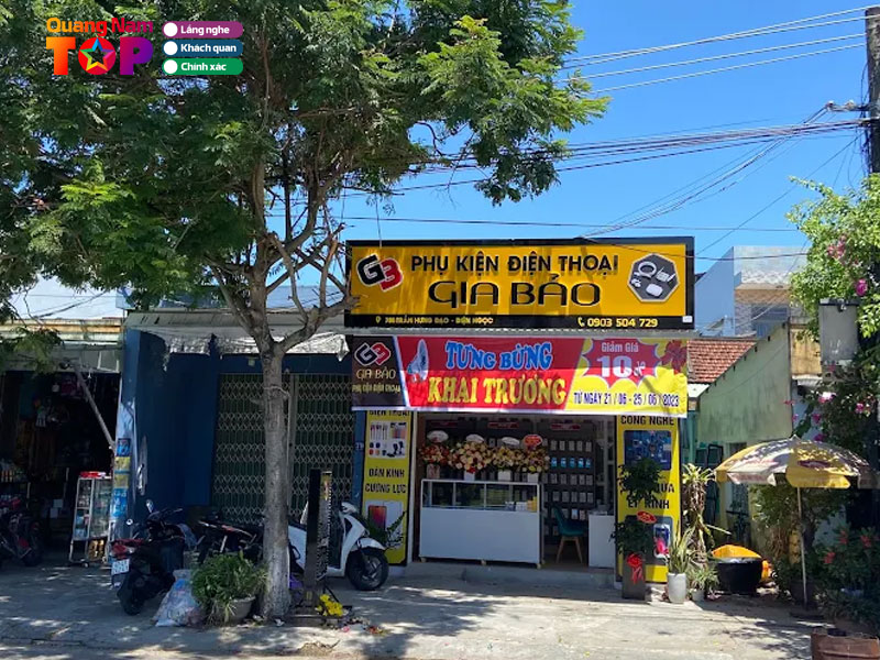 Phu-kien-dien-thoai-gia-bao-quangnamtoplist