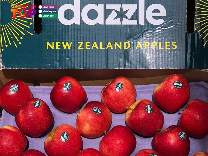 Gio-trai-cay-quyen-le-quangnamtoplist