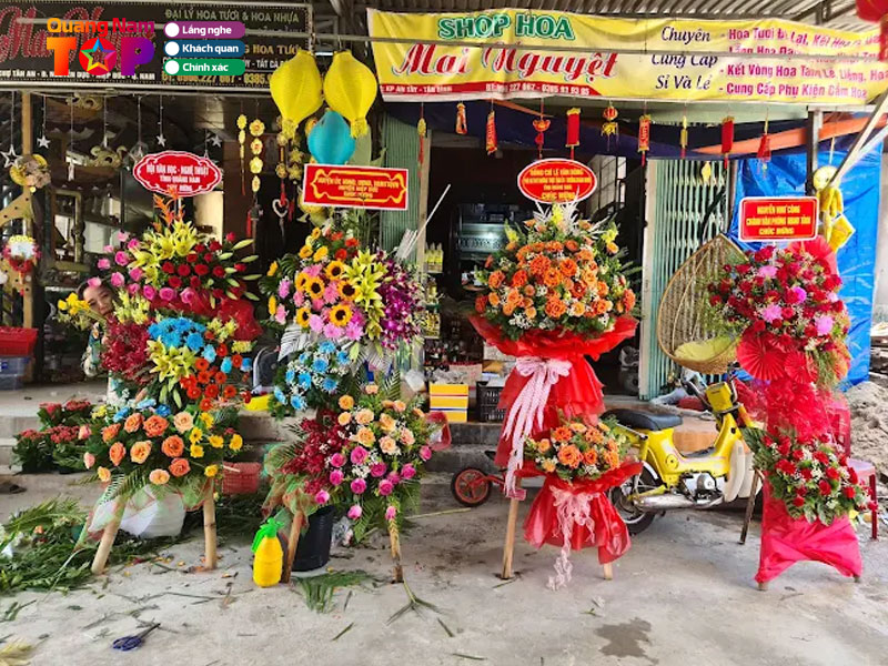 Shop-hoa-mai-nguyet-quangnamtoplist