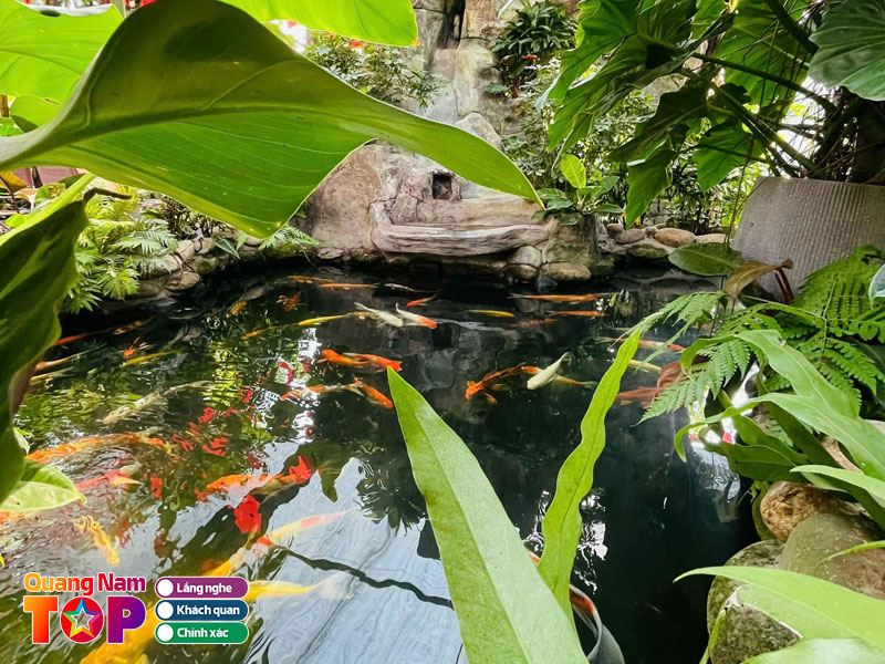 Koi-garden-coffee-quangnamtoplist