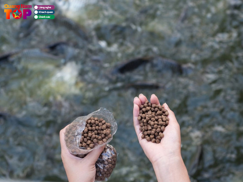 Dai-ly-thuc-an-chan-nuoi-thuy-san-anh-nghia-quangnamtoplist