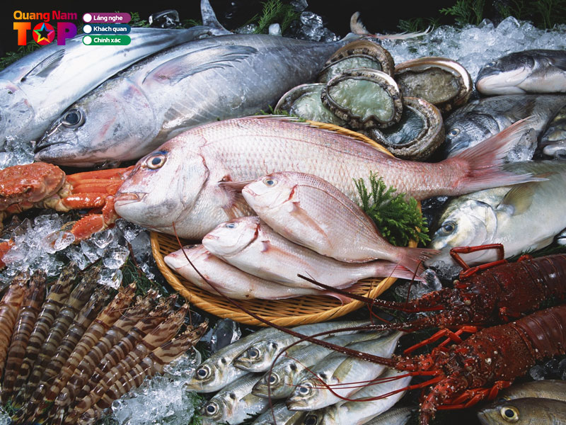 Vua-hai-san-tri-thuc-quangnamtoplist