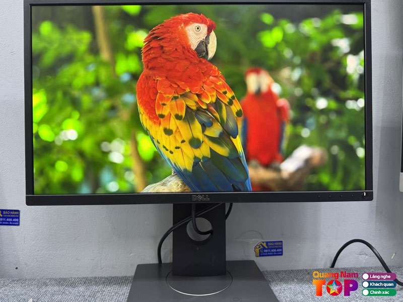 Dien-may-xanh-24-quangnamtoplist