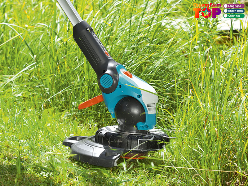 Nong-ngu-co-minh-khoa-quangnamtoplits