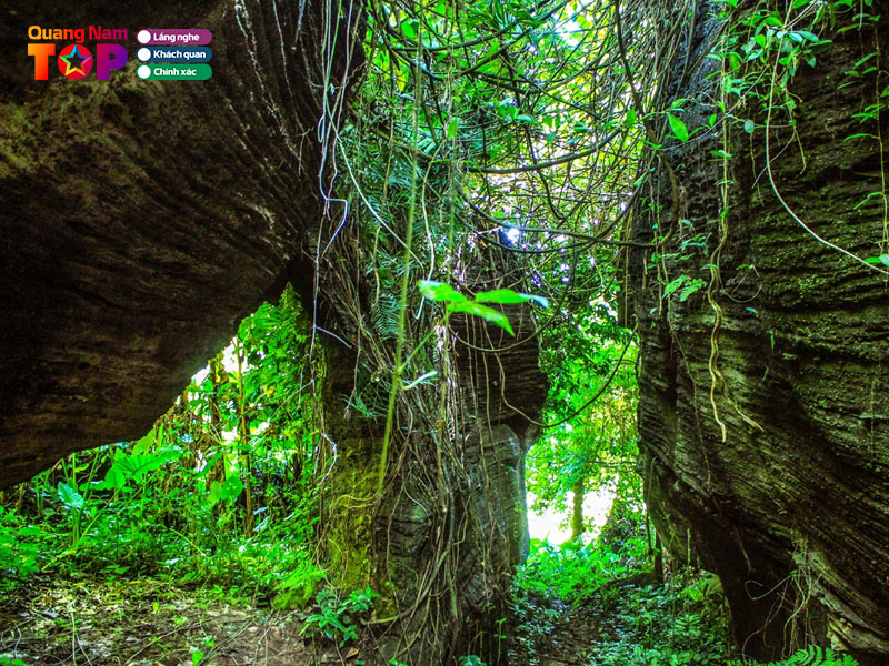 Gioi-thieu-hang-doi-tien-an-quangnamtoplist