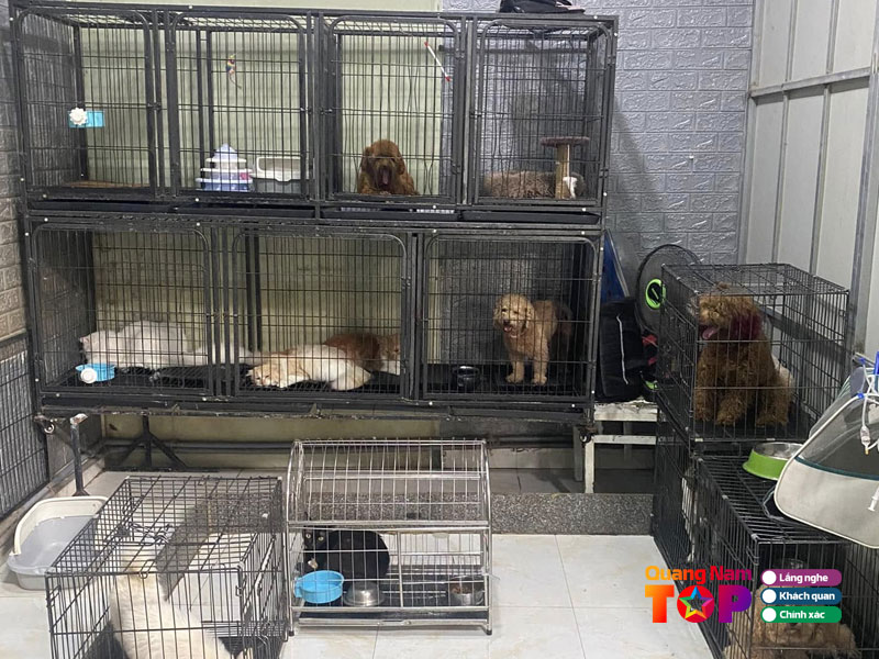 Tam-ky-pet-quangnamtoplist