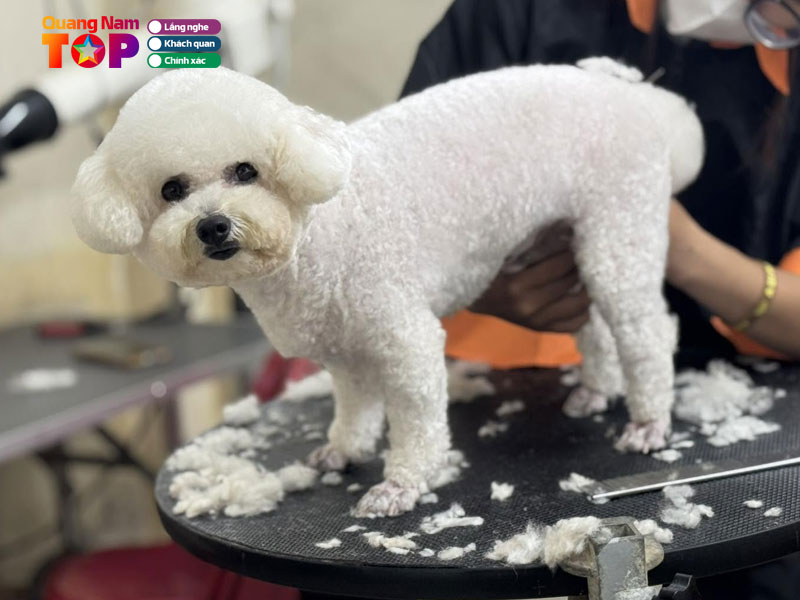 Love-pets-quangnamtoplist