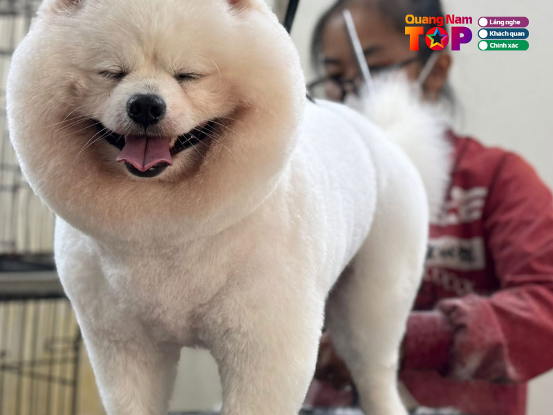 Star-pet-1-quangnamtoplist